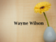 Obituary: Wayne Wilson