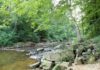New water monitoring project in Alabama’s national forests