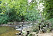 New water monitoring project in Alabama’s national forests