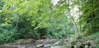 New water monitoring project in Alabama’s national forests