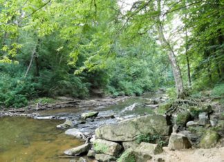 New water monitoring project in Alabama’s national forests