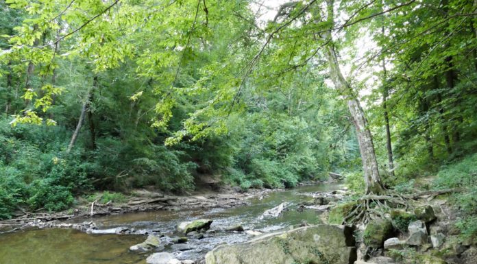 New water monitoring project in Alabama’s national forests