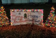 Enjoy Cards in the Park in Holly Pond