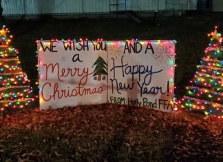 Enjoy Cards in the Park in Holly Pond