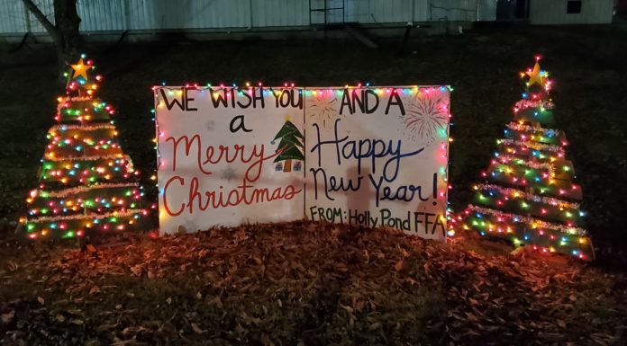 Enjoy Cards in the Park in Holly Pond