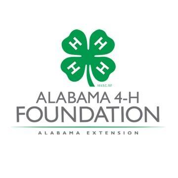 48380415_1781437425311468_4614084895101157376_n