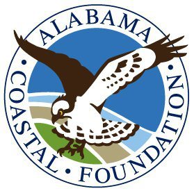 526844_10151373861782012_1580636591_n