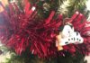 Keeping your pets safe in winter and around holidays