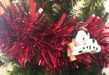 Keeping your pets safe in winter and around holidays