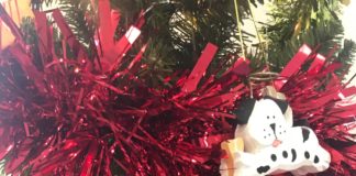 Keeping your pets safe in winter and around holidays