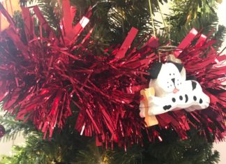 Keeping your pets safe in winter and around holidays