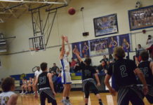 PREP BASKETBALL: Lady Bulldogs rout Waterloo 49-20, Bulldogs lose nail biter to Cougars 59-57