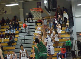 PREP BASKETBALL: Bulldogs, Lady Bulldogs sweep Holly Pond at home; Thursday scoring recap