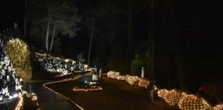 A sense of the divine: Ave Maria Grotto lit up for Christmas