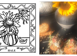 67-County Alabama Garden Party: Hale County