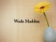 Obituary: Wade Maddux