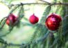 Tips for enjoying a live Christmas tree