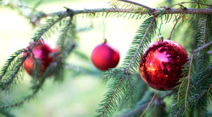 Tips for enjoying a live Christmas tree