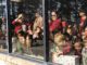 Santa delights at annual Cullman Elks Lodge Children’s Christmas Party