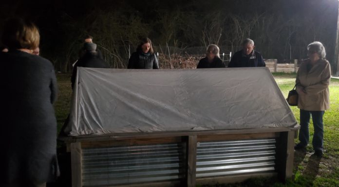 Agriplex Heritage Skills: Raised bed gardening