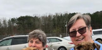 End of year reports: CAAWA helps hundreds of animals in 2019