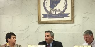 Hanceville talks dog park, 2020 Census