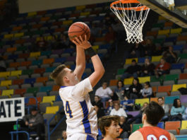 CULLMAN COUNTY TOURNAMENT: (3) Cold Springs rolls past (6) Vinemont 55-31 to advance to semifinal round