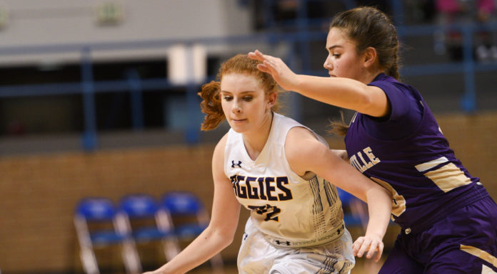 CULLMAN COUNTY TOURNAMENT: (3) Fairview smothers (6) Hanceville 51-28 to advance to semifinals