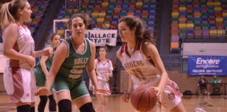 CULLMAN COUNTY TOURNAMENT: (4) Good Hope pulls away to defeat (5) Holly Pond 56-43 and advance to semifinals