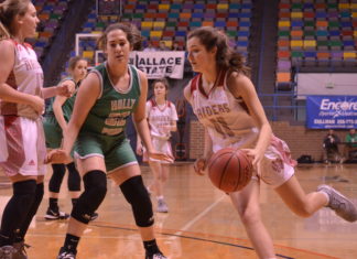 CULLMAN COUNTY TOURNAMENT: (4) Good Hope pulls away to defeat (5) Holly Pond 56-43 and advance to semifinals