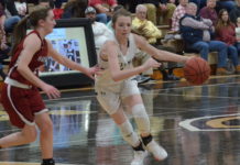 PREP BASKETBALL: Lady Bearcats rout Hartselle 55-26 to clinch area crown, Bearcats fall to Tigers 76-71; Tuesday scoring recap