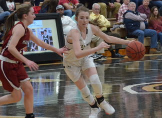 PREP BASKETBALL: Lady Bearcats rout Hartselle 55-26 to clinch area crown, Bearcats fall to Tigers 76-71; Tuesday scoring recap