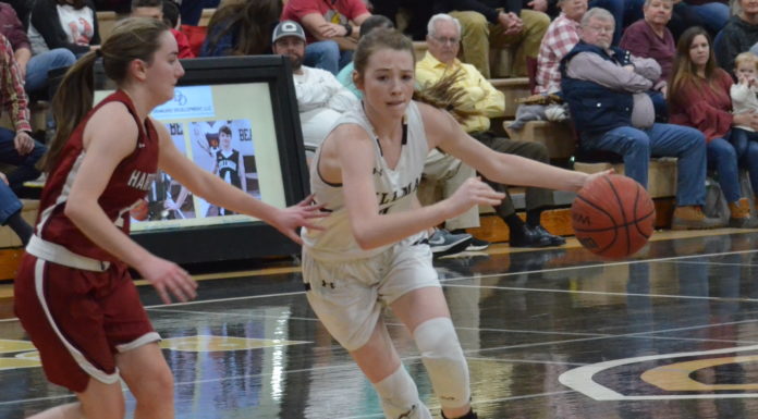 PREP BASKETBALL: Lady Bearcats rout Hartselle 55-26 to clinch area crown, Bearcats fall to Tigers 76-71; Tuesday scoring recap