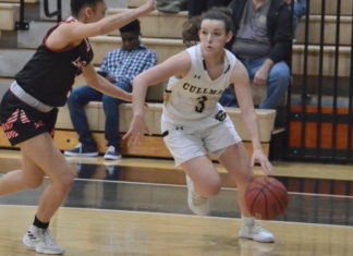 PREP BASKETBALL: Bearcats collect 69-50 area win over Decatur, Lady Bearcats rout Lady Red Raiders 61-24; Tuesday scoring recap