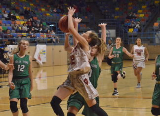 CULLMAN COUNTY TOURNAMENT: (2) Good Hope edges (3) Holly Pond 41-37 to advance to JV Girls title game