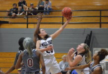 PREP BASKETBALL: Lady Warriors pull away to defeat Gadsden City 63-50