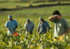 Human Trafficking Awareness Month: What is labor trafficking?