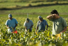 Human Trafficking Awareness Month: What is labor trafficking?