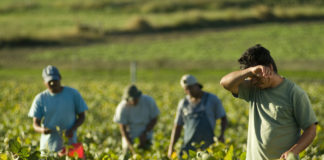 Human Trafficking Awareness Month: What is labor trafficking?