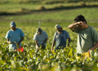 Human Trafficking Awareness Month: What is labor trafficking?