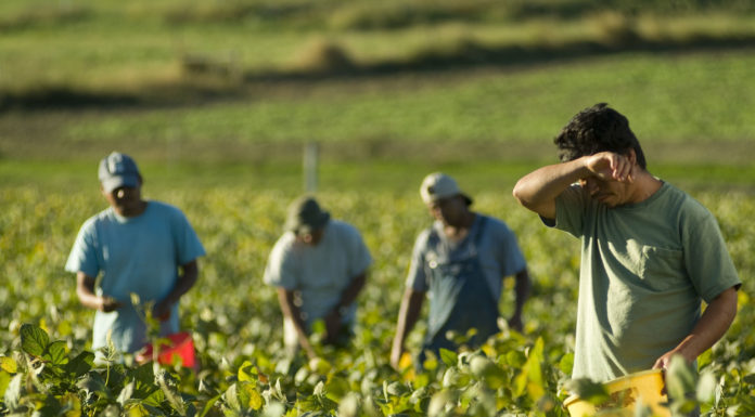 Human Trafficking Awareness Month: What is labor trafficking?