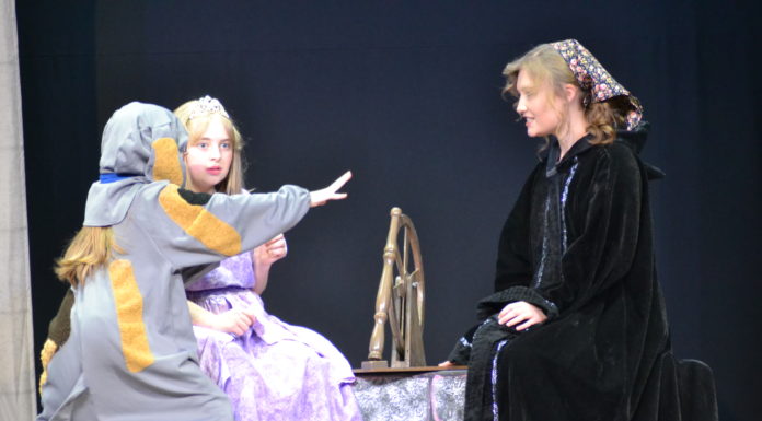 Local talent shines in Missoula Children’s Theatre’s ‘Sleeping Beauty’