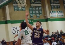 PREP BASKETBALL: Fairview picks up road sweep over Holly Pond