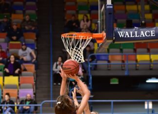 CULLMAN COUNTY TOURNAMENT: Big 3rd quarter pushes (2) West Point past (3) Fairview 61-41, Lady Warriors advance to title game