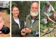 First wild eastern indigo snake found in Alabama in 60 years