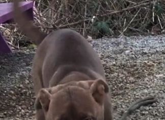 (Bonus) Pet of the Week: Refresh yourself with a Sprite!