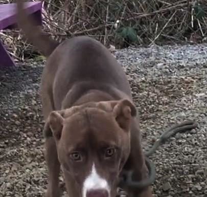 (Bonus) Pet of the Week: Refresh yourself with a Sprite!