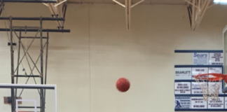 PREP BASKETBALL: Addison Bulldogs, Lady Bulldogs sweep Lynn at home