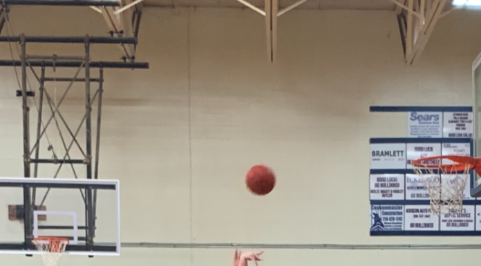 PREP BASKETBALL: Addison Bulldogs, Lady Bulldogs sweep Lynn at home