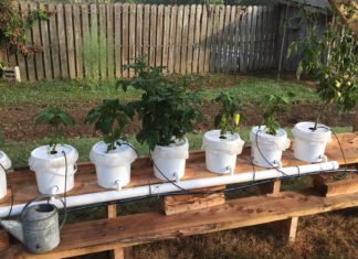Hydroponic gardening class coming Feb. 6